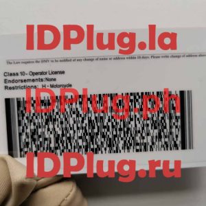 RHODE-ISIAND OLD